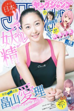 漫画大全之无彩翼漫